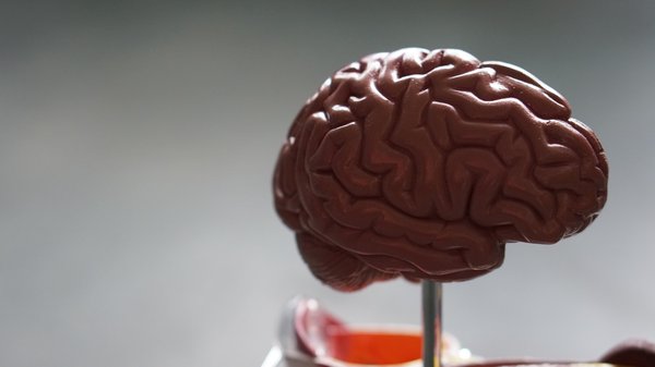 Comprendre la maladie de Parkinson : symptômes, avancées scientifiques et prévention